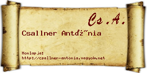 Csallner Antónia névjegykártya