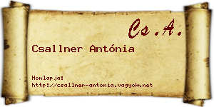 Csallner Antónia névjegykártya